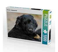 CALVENDO Puzzle Hovawart - Portrait de Chiot 1000 Pieces 64 x 48 cm from Sista-Tierfoto