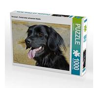 CALVENDO Puzzle Hovawart - Portrait d'une Chienne Noire 1000 Pieces 64 x 48 cm from Sista-Tierfoto