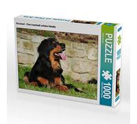 CALVENDO Puzzle Hovawart - Une Belle Chienne de rêve 1000 Pieces 64 x 48 cm from Sista-Tierfoto