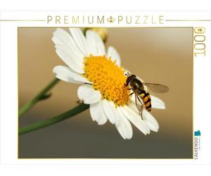 CALVENDO Puzzle Hoverfly 1000 Pieces 64 x 48 cm from Christine Wirges