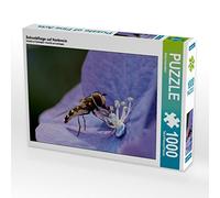 CALVENDO Puzzle Hoverfly sur Hortensia 1000 Pieces 64 x 48 cm from Silvia Hahnefeld