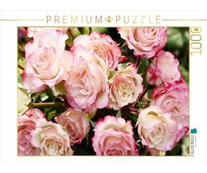 CALVENDO Puzzle Hübscher Rosenstrauß in zartem Rosa 1000 Teile Puzzle quer 1000 Pieces 64 x 48 cm from Gisela Kruse