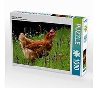 CALVENDO Puzzle Huhn im Garten 1000 Teile Puzzle quer 1000 Pieces 64 x 48 cm from Sabine Löwer
