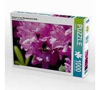 CALVENDO Puzzle Hummel in Rosa Rhododendron Blüte 1000 Teile Puzzle quer 1000 Pieces 64 x 48 cm from Kattobello