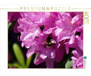 CALVENDO Puzzle Hummel in Rosa Rhododendron Blüte 1000 Teile Puzzle quer 1000 Pieces 64 x 48 cm from Kattobello
