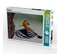 CALVENDO Puzzle Huppe fasciée 1000 Pieces 64 x 48 cm from Gerald Wolf