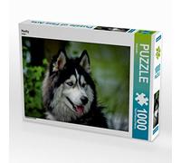 CALVENDO Puzzle Husky 1000 Teile Puzzle quer 1000 Pieces 64 x 48 cm from Kattobello