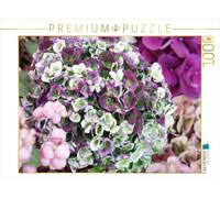 CALVENDO Puzzle Hydrangea 'Magical Revolution 1000 Pieces 64 x 48 cm from Gisela Kruse