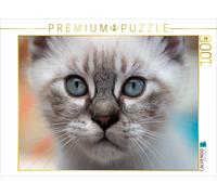 CALVENDO Puzzle I see you... | 1000 pieces, finished size 25.2 × 18.9 in (64 × 4