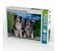 CALVENDO Puzzle Ice & Chessy - Die Tochter So schön Wie Die Mutter 1000 Teile Puzzle quer 1000 Pieces 64 x 48 cm from David Andrey