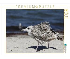 CALVENDO Puzzle Ich Bin Schon weg 1000 Teile Puzzle quer 1000 Pieces 64 x 48 cm from Tanja Riedel