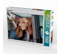 CALVENDO Puzzle Ich fahre mit! 1000 Teile Puzzle quer 1000 Pieces 64 x 48 cm from Barbara Mielewczyk