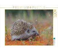 CALVENDO Puzzle Igel 1000 Teile Puzzle quer 1000 Pieces 64 x 48 cm from Alfred Trunk