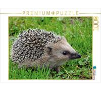 CALVENDO Puzzle Igel Auf der Wiese 1000 Teile Puzzle quer 1000 Pieces 64 x 48 cm from Kattobello