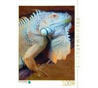 CALVENDO Puzzle Iguane Vert 1000 Pieces 48 x 64 cm from Elisabeth Stanzer