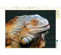 CALVENDO Puzzle Iguane Vert 1000 Pieces 64 x 48 cm from Michael Herzog