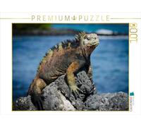 CALVENDO Puzzle Iguanes aux Galapagos 1000 Pieces 64 x 48 cm from Ralph Binder