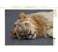 CALVENDO Puzzle œil dans l'œil avec Le Lion en Afrique du Sud | 1000 pièces de Taille de la Ponte 64 x 48 cm Puzzle Photo pour des Heures heureuses
