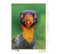 CALVENDO Puzzle œil dans l'œil avec Le vautour Royal - Costa Rica Sauvage | 1000 pièces - Taille de la Pose 48 x 64 cm - Puzzle Photo pour des Heures heureuses