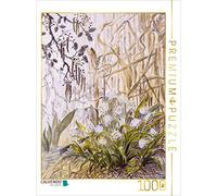 CALVENDO Puzzle Îlot dans Le Cours supérieur de la Rot : Flocon de Neige Sauvage avec roseaux et aulnes 1000 Pieces 48 x 64 cm from Nils Hoffmann