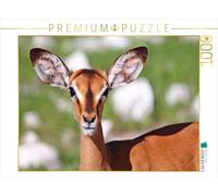 CALVENDO Puzzle Impala à Nez Noir 1000 Pieces 64 x 48 cm from Wibke Woyke
