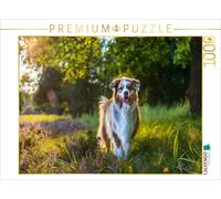 CALVENDO Puzzle in der Heide... 1000 Teile Puzzle quer 1000 Pieces 64 x 48 cm from Annett Mirsberger