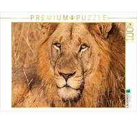 CALVENDO Puzzle In the prime of life. | 1000 pieces, finished size 25.2 × 18.9 i