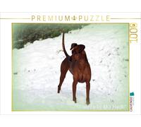 CALVENDO Puzzle In the snow | 1000 pieces, finished size 25.2 × 18.9 in (64 × 48