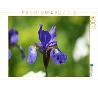 CALVENDO Puzzle Iris 1000 Pieces 64 x 48 cm from Peter Hebgen