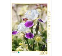 CALVENDO Puzzle Iris accompanied by columbines | 1000 pieces, finished size 25.2