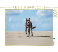 CALVENDO Puzzle Irischer Wolfshund hat Spaß am Strand | 1000 Teile Lege-Größe 64