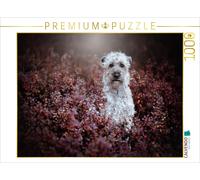 CALVENDO Puzzle Irish soft coated wheaten Terrier | 1000 pieces, finished size 2