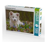 CALVENDO Puzzle Islandhundwelpe im Scillawald 1000 Teile Puzzle quer 1000 Pieces 64 x 48 cm from Monika Scheurer