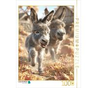 CALVENDO Puzzle It's more fun together | 1000 pieces, finished size 25.2 × 18.9