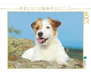 CALVENDO Puzzle Jack Russell Terrier Prend Une Pause sur Un Rocher. 1000 Pieces 64 x 48 cm from Verlag