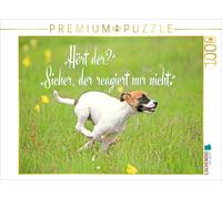 CALVENDO Puzzle Jack Russell Terrier Welpe rennt über eine Wiese | 1000 Teile Le