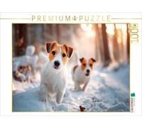 CALVENDO Puzzle Jack Russell Terriers - Winter Lovers on a Discovery Tour | 1000