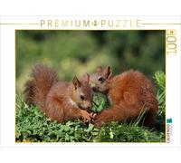 CALVENDO Puzzle Jacky et Jack 1000 Pieces 64 x 48 cm from Tine Meier