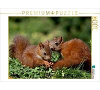 CALVENDO Puzzle Jacky et Jack 1000 Pieces 64 x 48 cm from Tine Meier