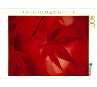 CALVENDO Puzzle Érable en éventail Japonais - Couleurs d'automne 1000 Pieces 64 x 48 cm from bild-erzaehler