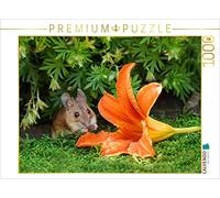 CALVENDO Puzzle Je parie Que tu pourrais Te blottir dans celui-là Aussi ! 1000 Pieces 64 x 48 cm from Birgit Cerny