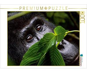 CALVENDO Puzzle Je Te Regarde 1000 Pieces 64 x 48 cm from Hawkeyes-Pictures