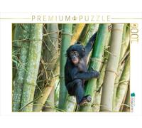 CALVENDO Puzzle Jeune Bonobo (Pan Paniscus), DR Congo | 1000 pièces - Dimensions : 64 x 48 cm - Puzzle Photo pour des Heures de Bonheur