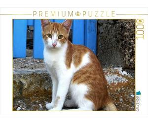 CALVENDO Puzzle Jeune Chaton Devant Une Porte Grecque Traditionnelle 1000 Pieces 64 x 48 cm from Renate Bleicher