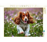 CALVENDO Puzzle Jeune Cocker américain | 1000 pièces 64 x 48 cm Photo Puzzle pour des Heures heureuses