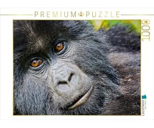 CALVENDO Puzzle Jeune Gorille de Montagne (Gorilla beringei beringei), Rwanda | 1000 pièces - Dimensions : 64 x 48 cm - Puzzle Photo pour des Heures de Bonheur