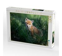 CALVENDO Puzzle Jeune Renard Roux 1000 Pieces 64 x 48 cm from David Oberholzer