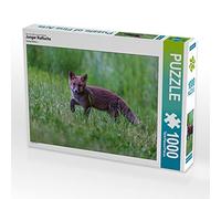 CALVENDO Puzzle Jeune Renard Roux 1000 Pieces 64 x 48 cm from David Oberholzer
