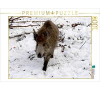 CALVENDO Puzzle Jeune Sanglier dans la forêt de Colditz 1000 Pieces 64 x 48 cm from Thilo Seidel