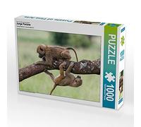 CALVENDO Puzzle Jeunes babouins 1000 Pieces 64 x 48 cm from Silvia Trüssel